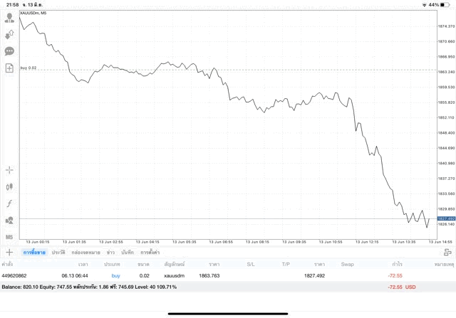 Exnessการเก็งกำไรทองออนไลน์