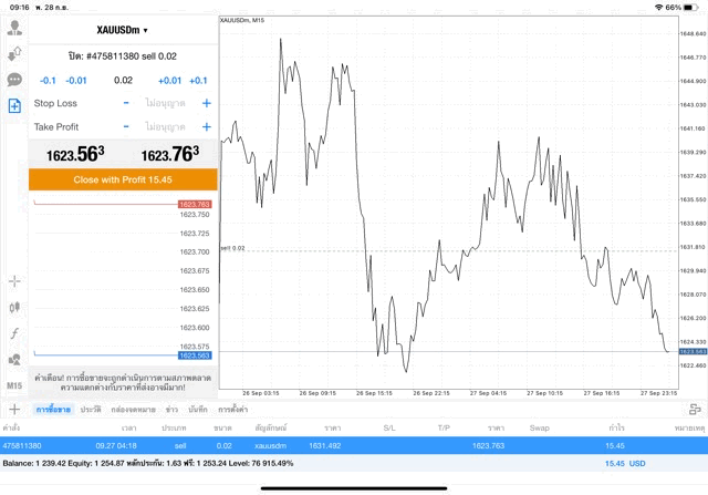 หุ้นออนไลน์การลงทุน